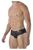 Mesh Briefs