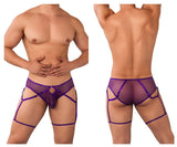 Mesh Garter Briefs