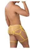 Mesh Garter Briefs