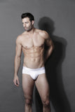 (1612020110300) Briefs Cristalino Microfiber