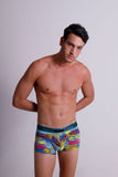 Croton Trunks