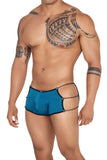 Mesh Briefs