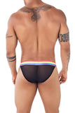 Pride Mesh Bikini