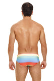 Party Swim Briefs