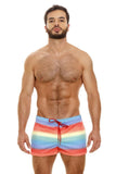 Party Swim Trunks