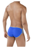 PIK 0496 Seduction Briefs