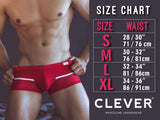 Stepway Briefs