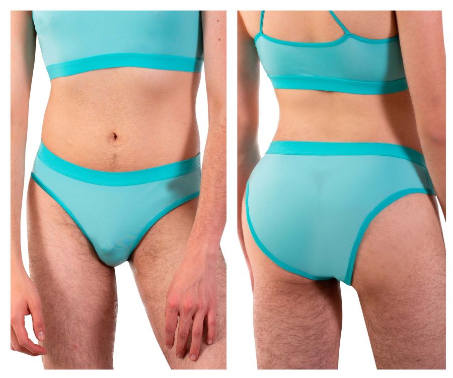 Briefs