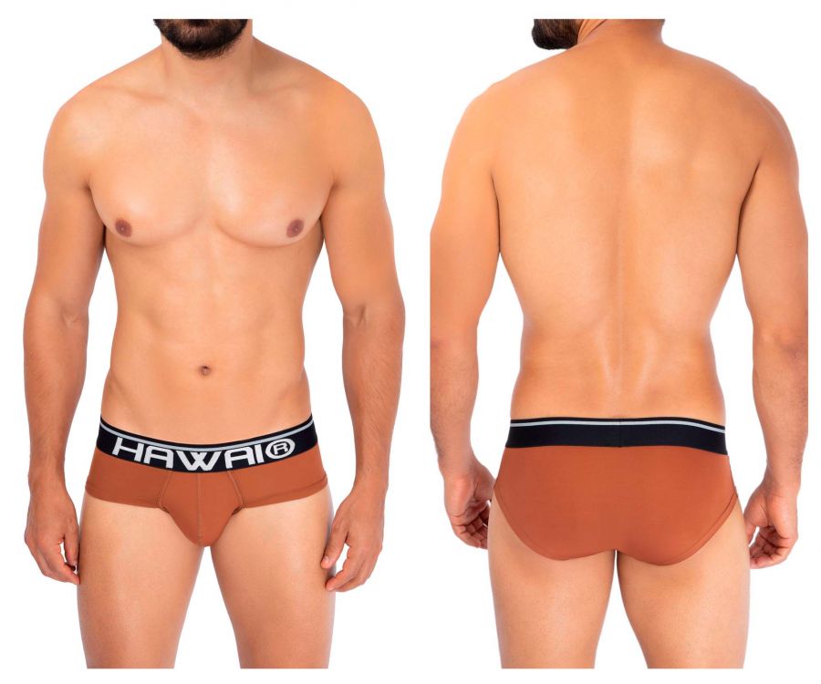 Solid Microfiber Hip Briefs