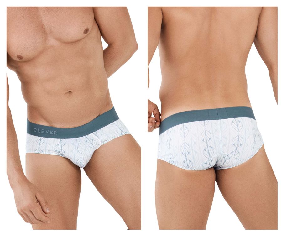 Vaud Briefs